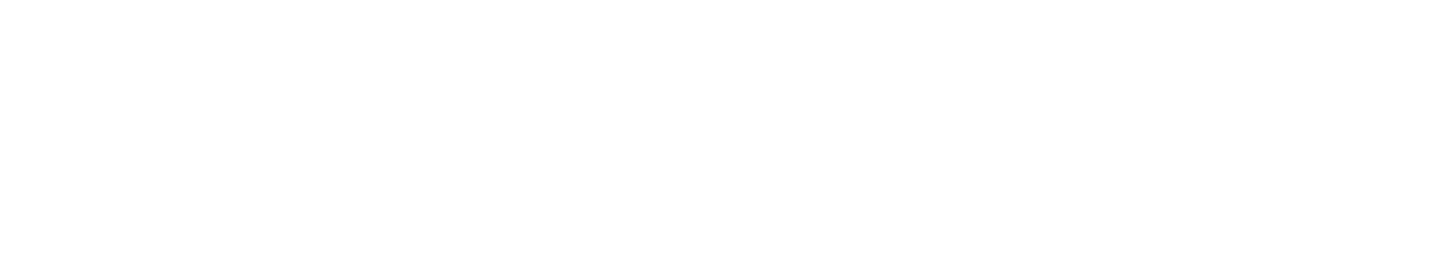nnesaga